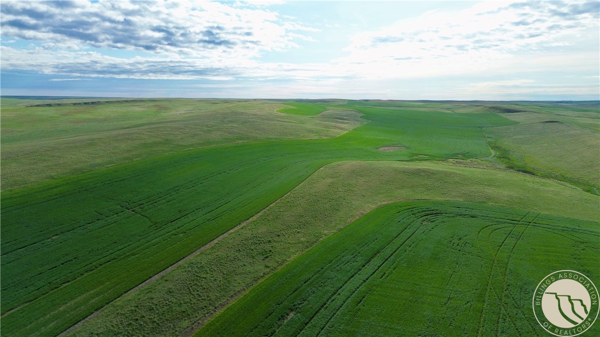 640 Acres Molt Road
