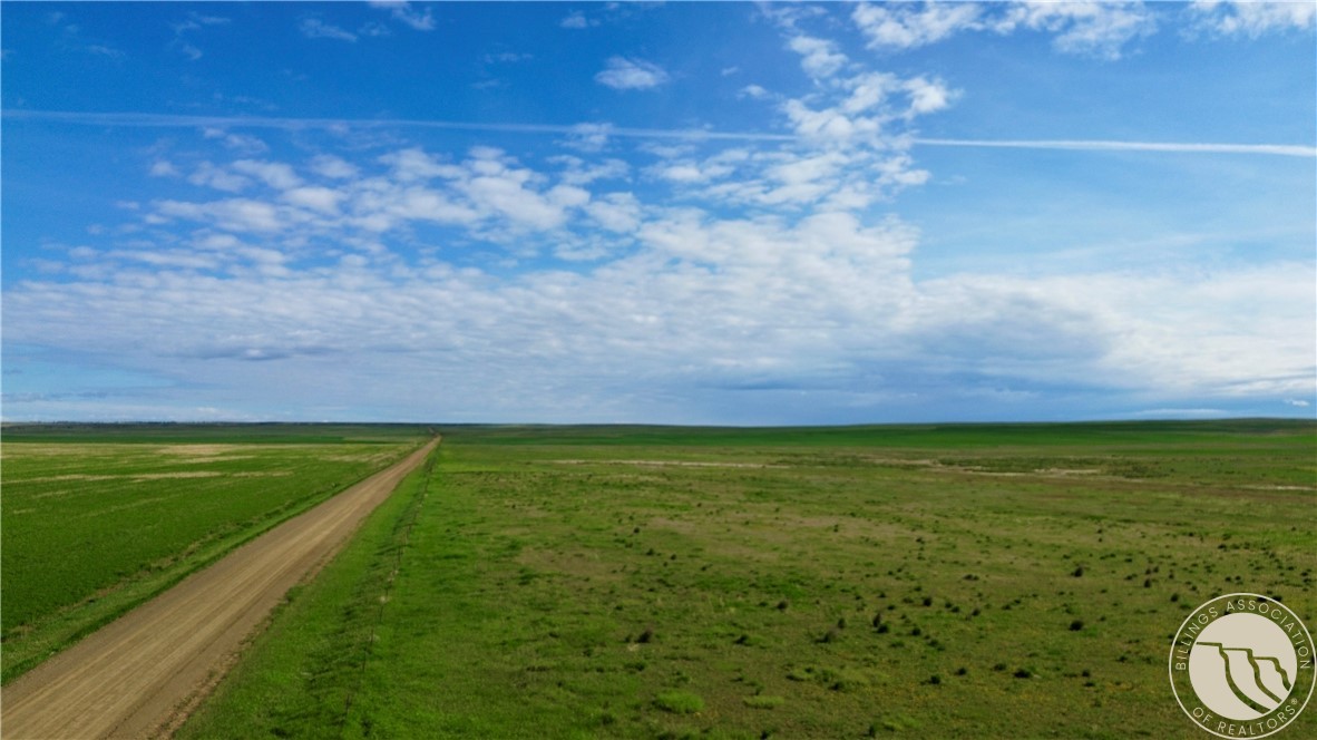640 Acres Molt Road