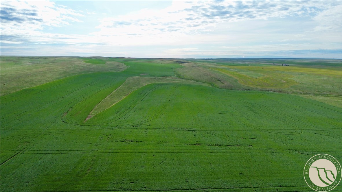 640 Acres Molt Road