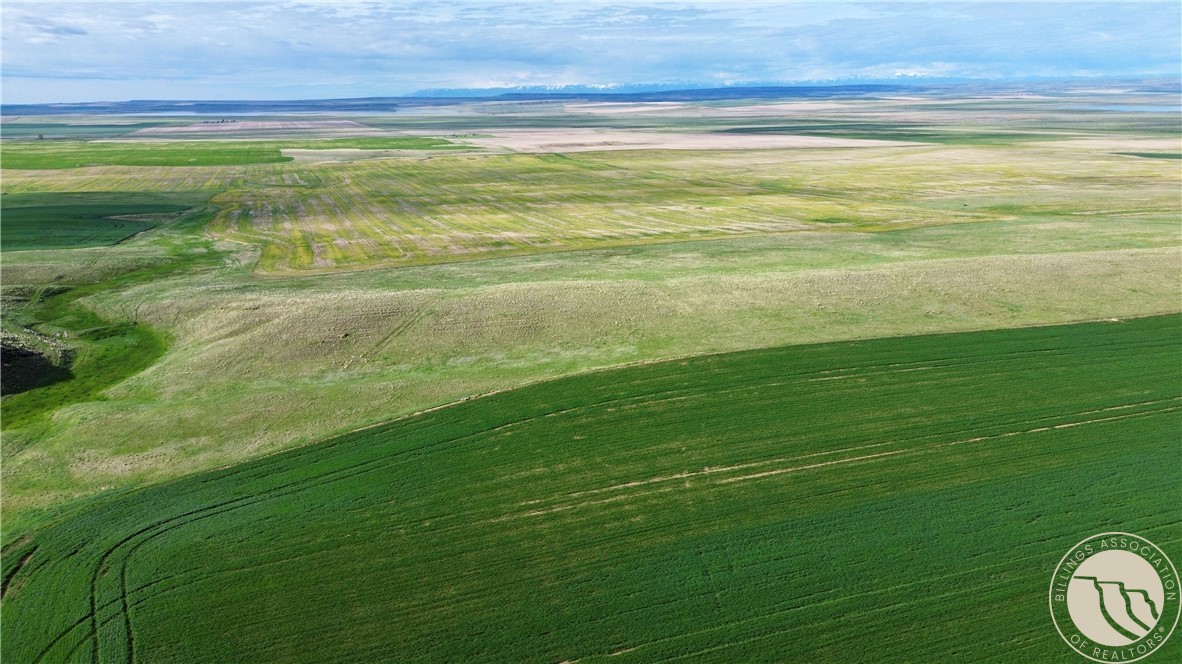 640 Acres Molt Road
