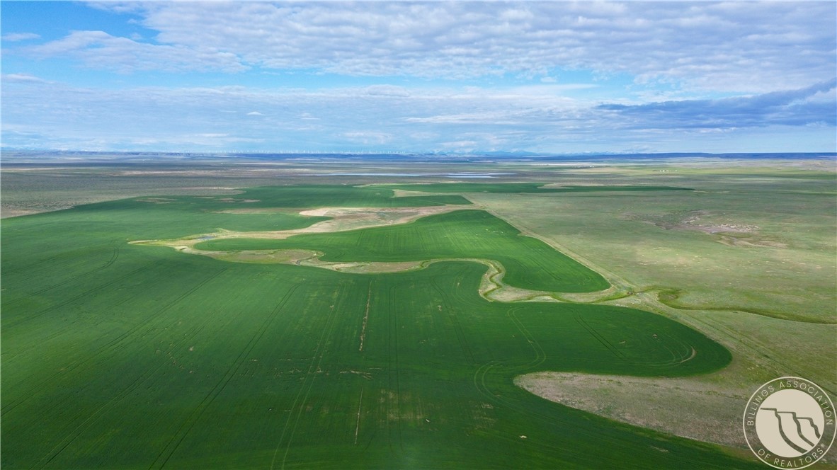 640 Acres Molt Road