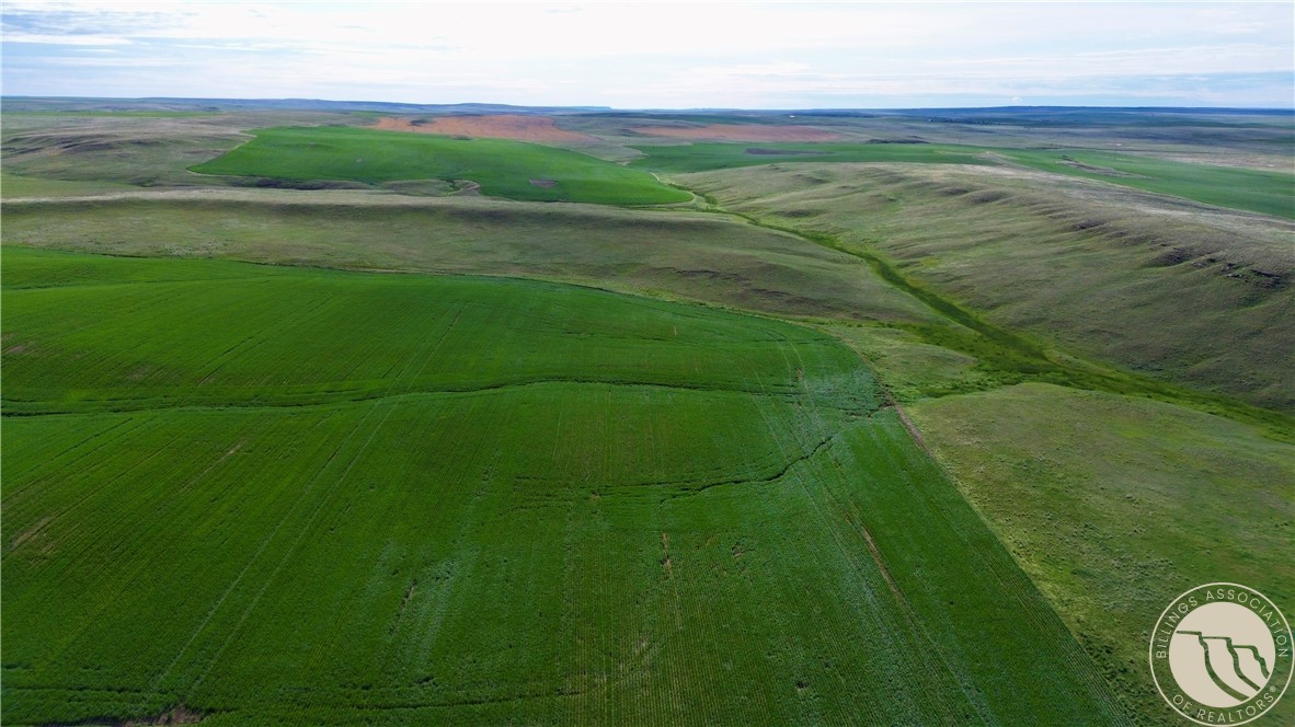 640 Acres Molt Road
