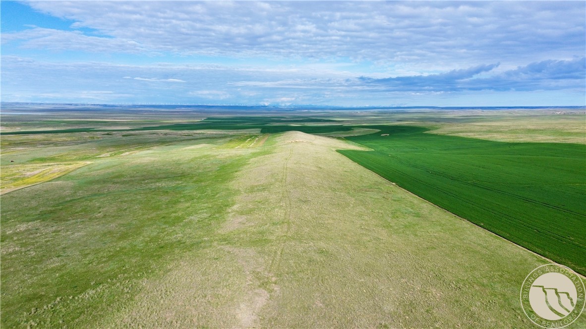 640 Acres Molt Road