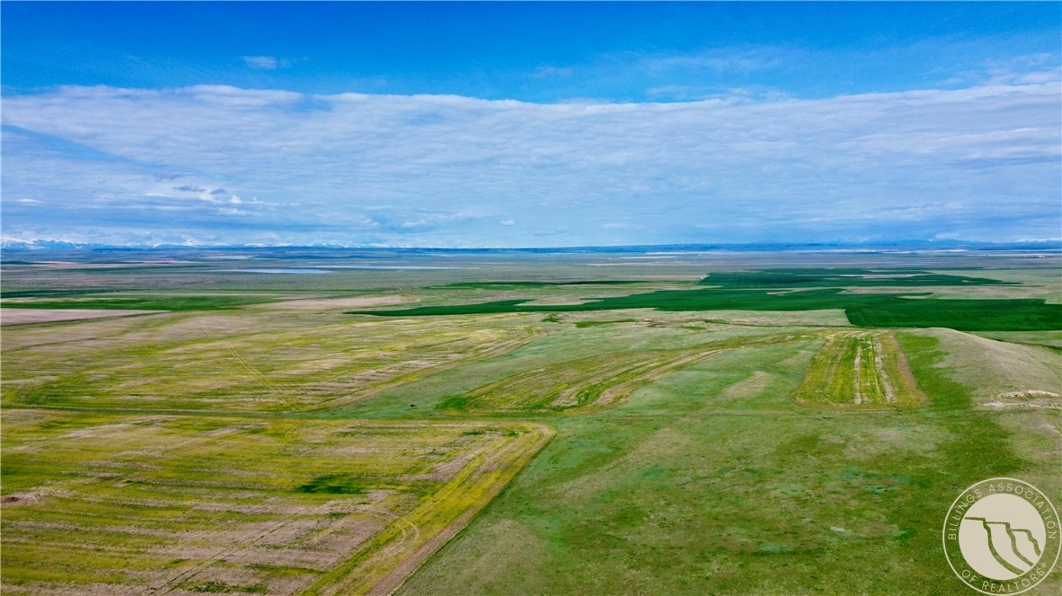 640 Acres Molt Road