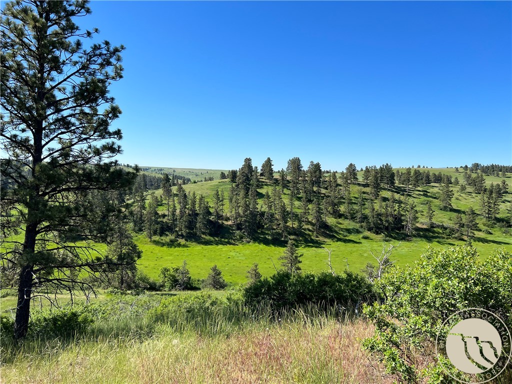 40 Acres Monahan ROAD