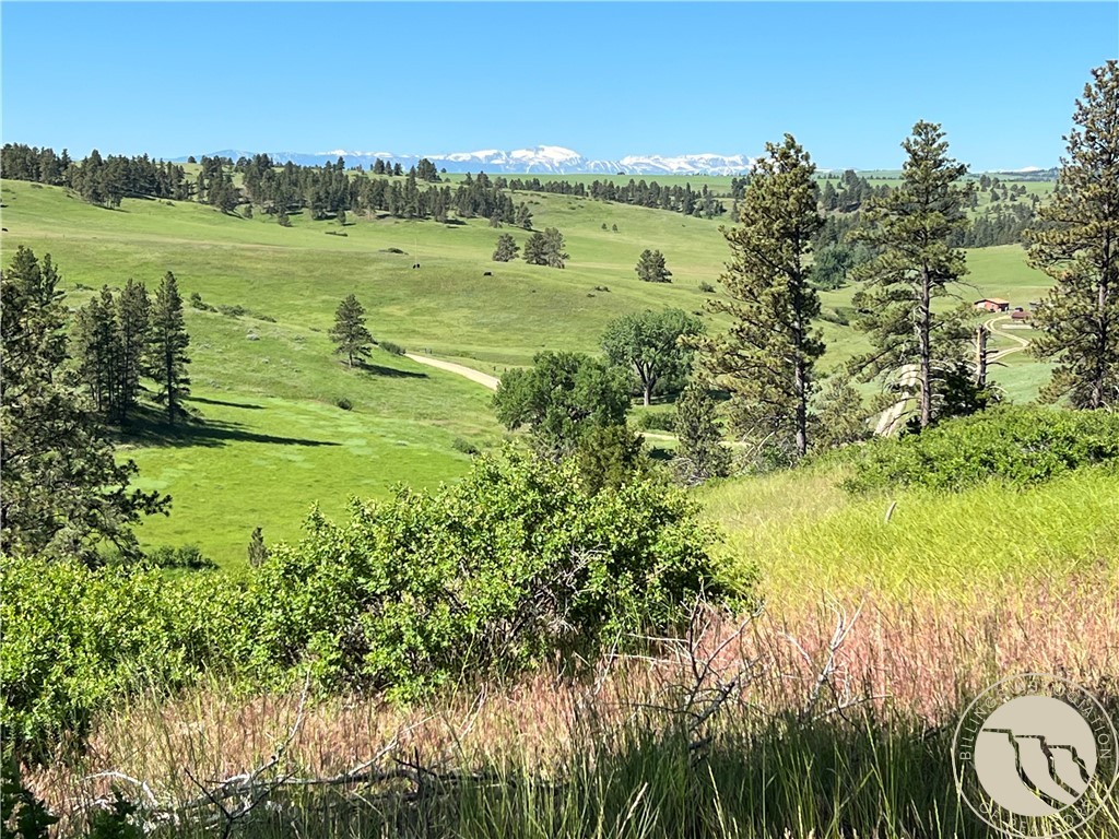 40 Acres Monahan ROAD