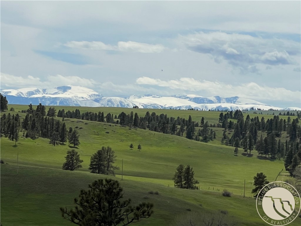 40 Acres Monahan ROAD