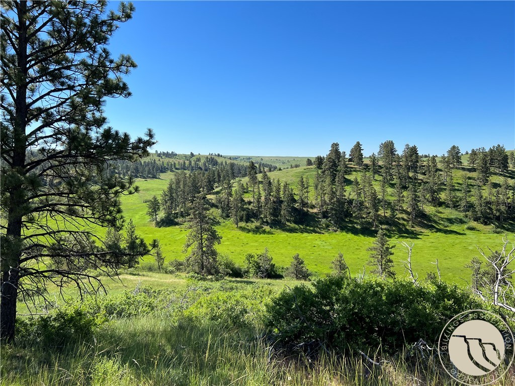 40 Acres Monahan ROAD