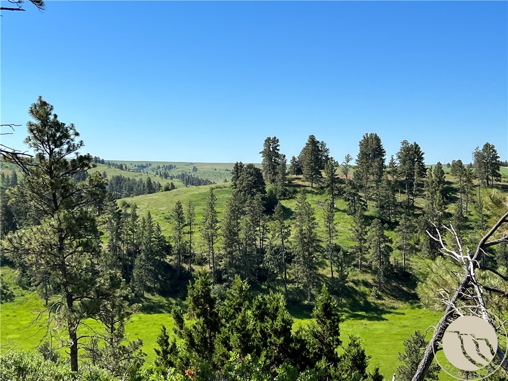 40 Acres Monahan ROAD