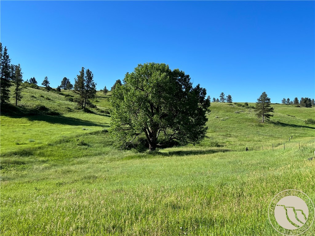 40 Acres Monahan ROAD