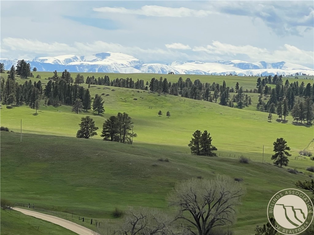 40 Acres Monahan ROAD