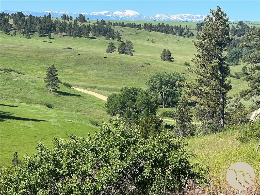 40 Acres Monahan ROAD