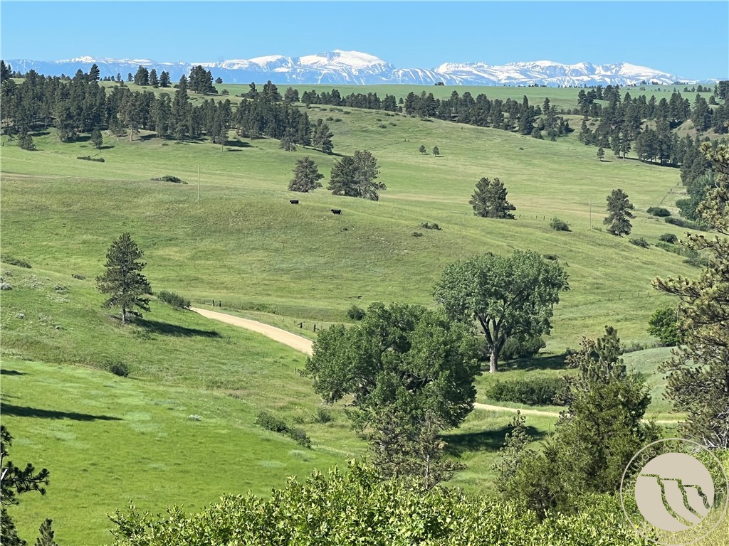 40 Acres Monahan ROAD