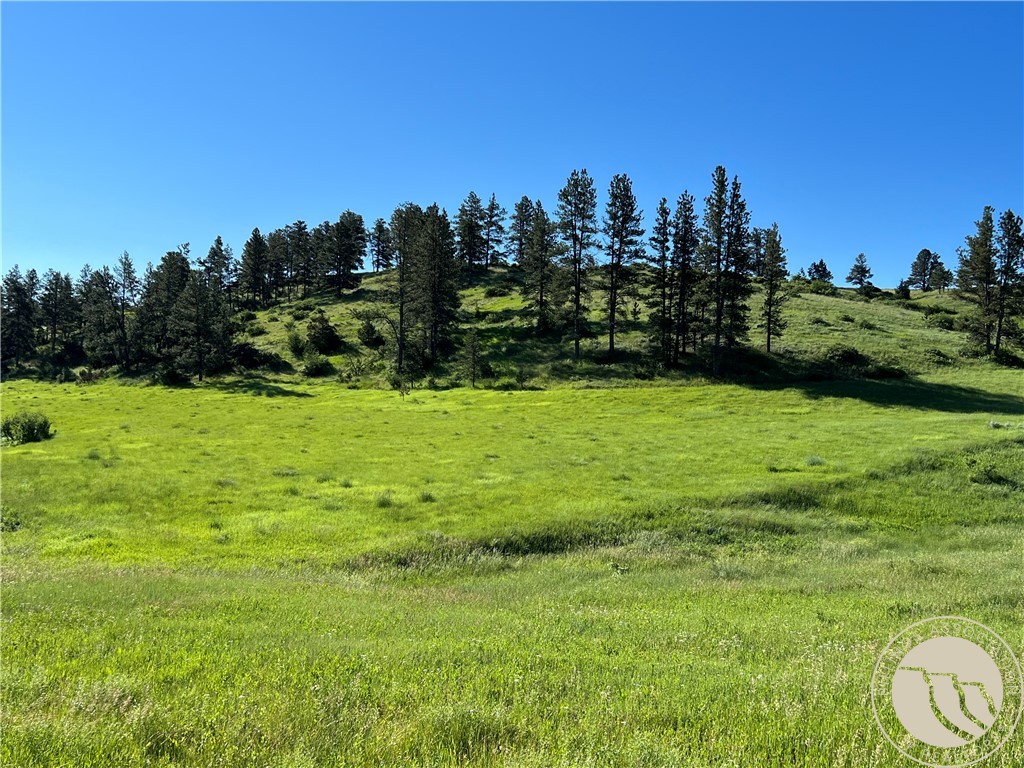 40 Acres Monahan ROAD