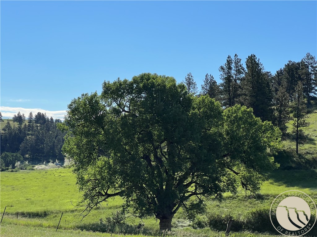 40 Acres Monahan ROAD