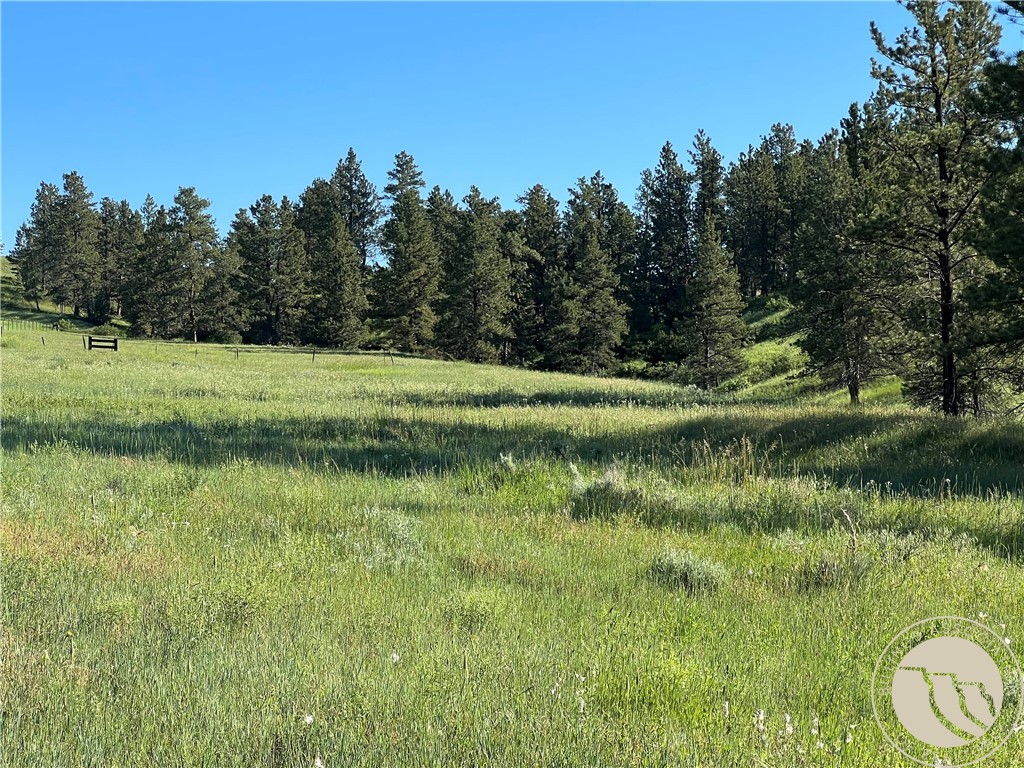 40 Acres Monahan ROAD