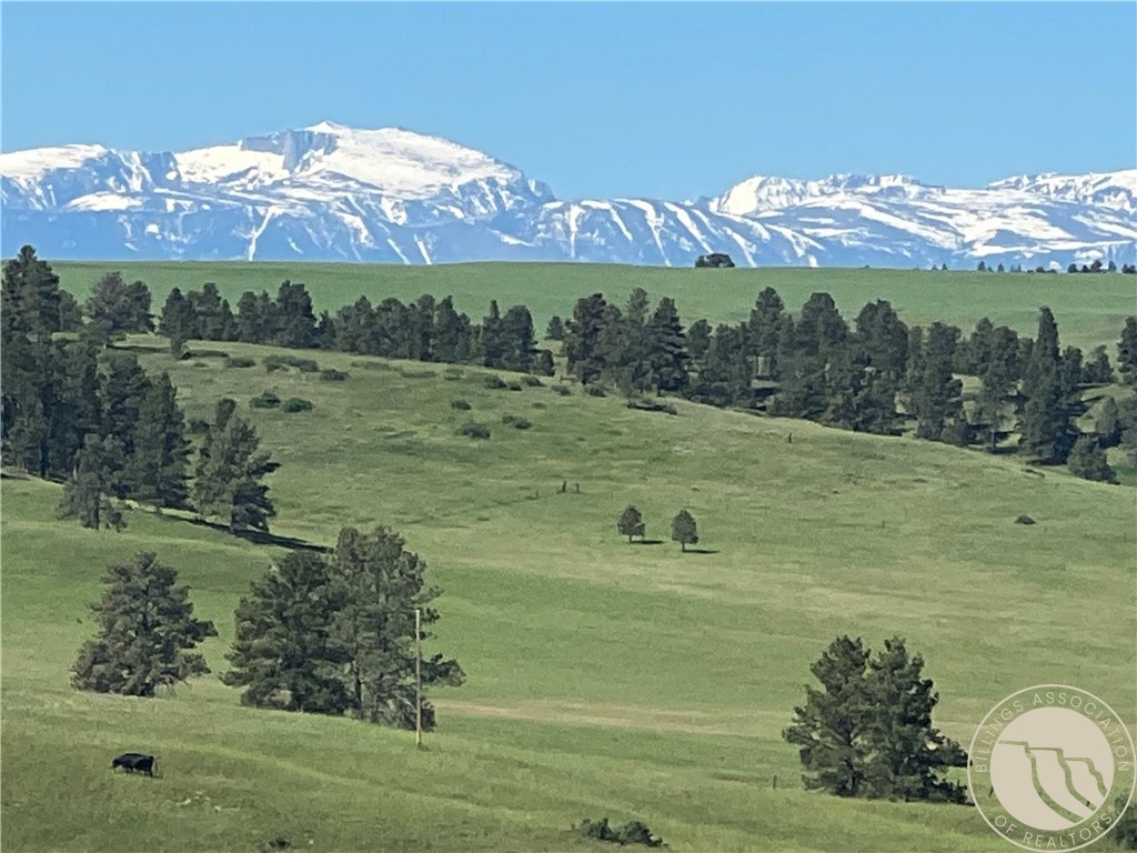 40 Acres Monahan ROAD