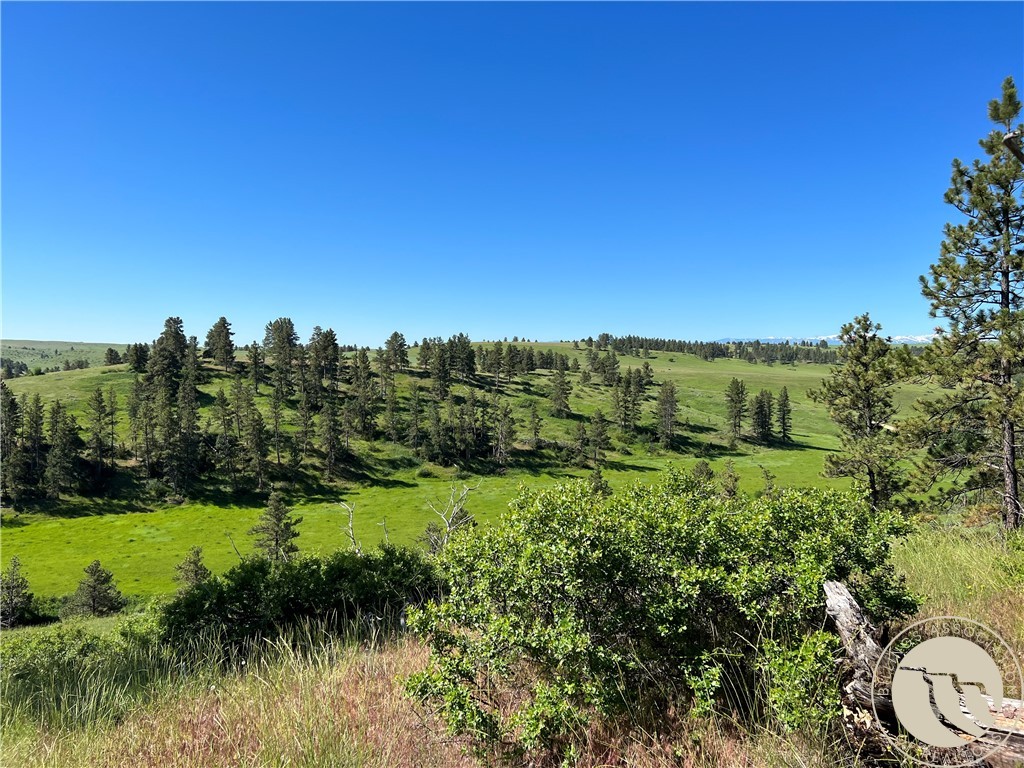 40 Acres Monahan ROAD