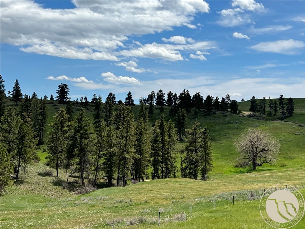 40 Acres Monahan ROAD