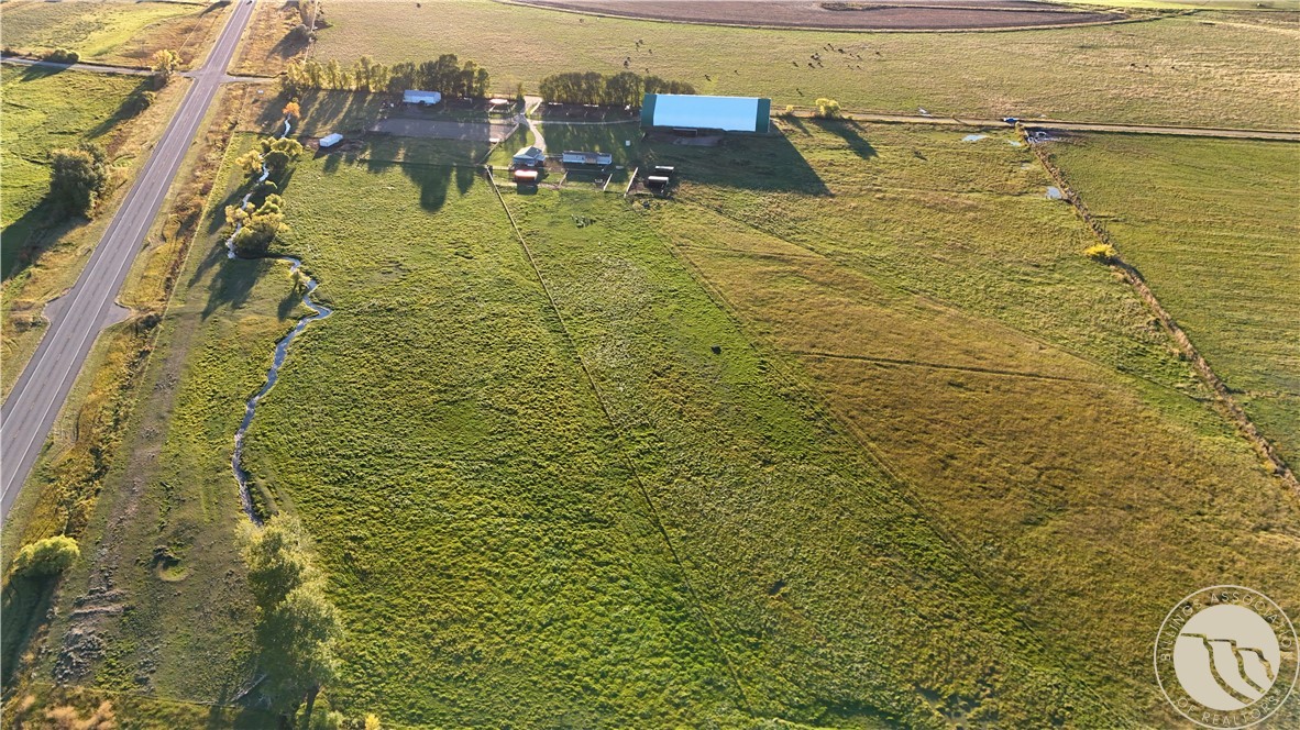 10 Cattle DRIVE