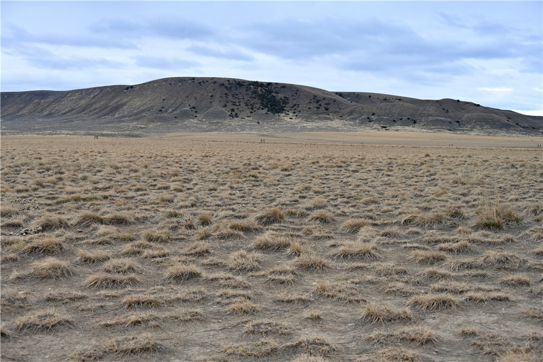 20 Acres Pryor Mountain Road