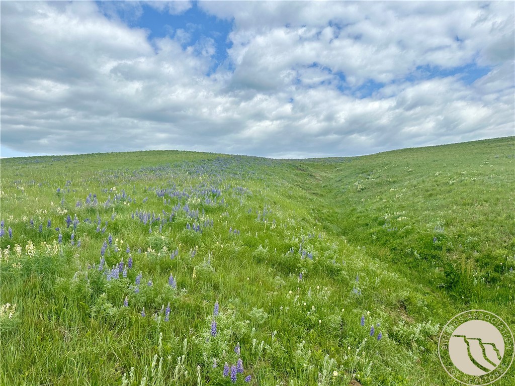 15.9 Ac Buck Creek Road