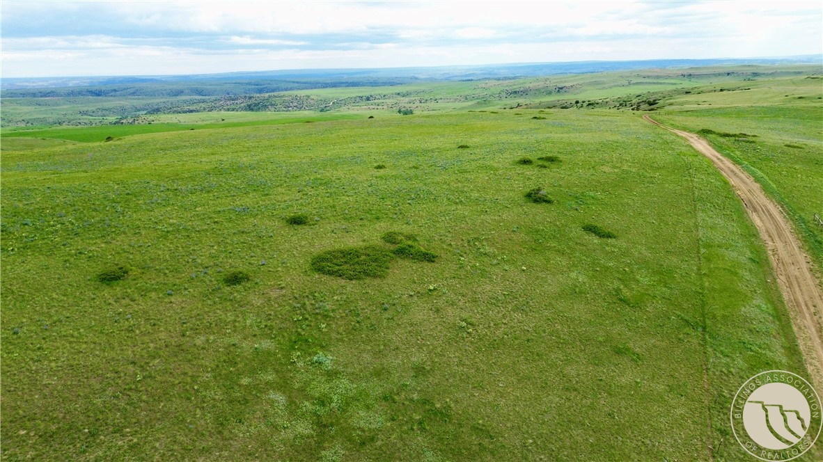 15.9 Ac Buck Creek Road