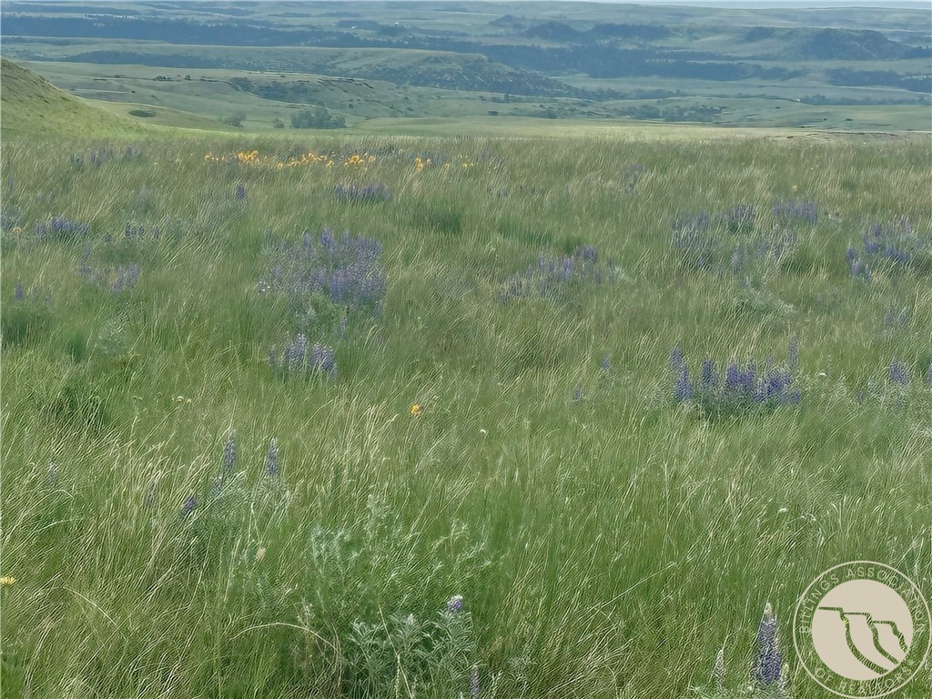 15.9 Ac Buck Creek Road