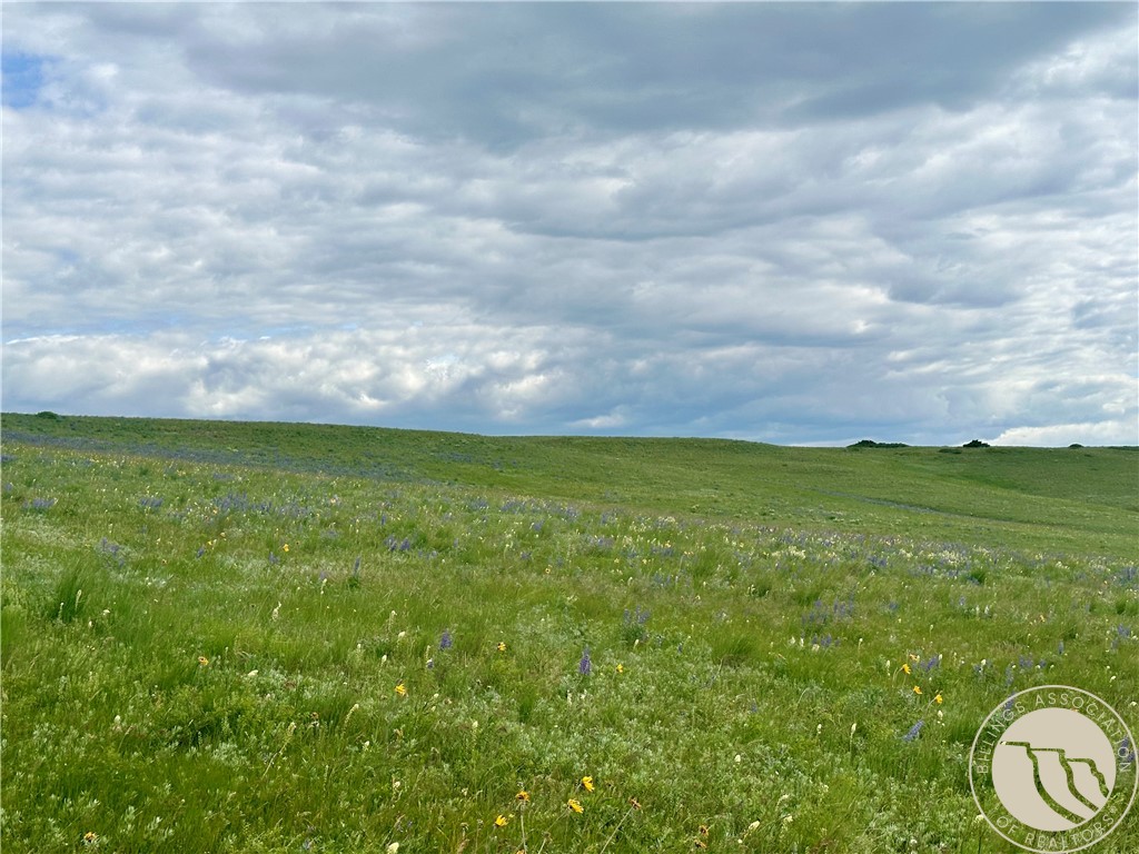 15.9 Ac Buck Creek Road