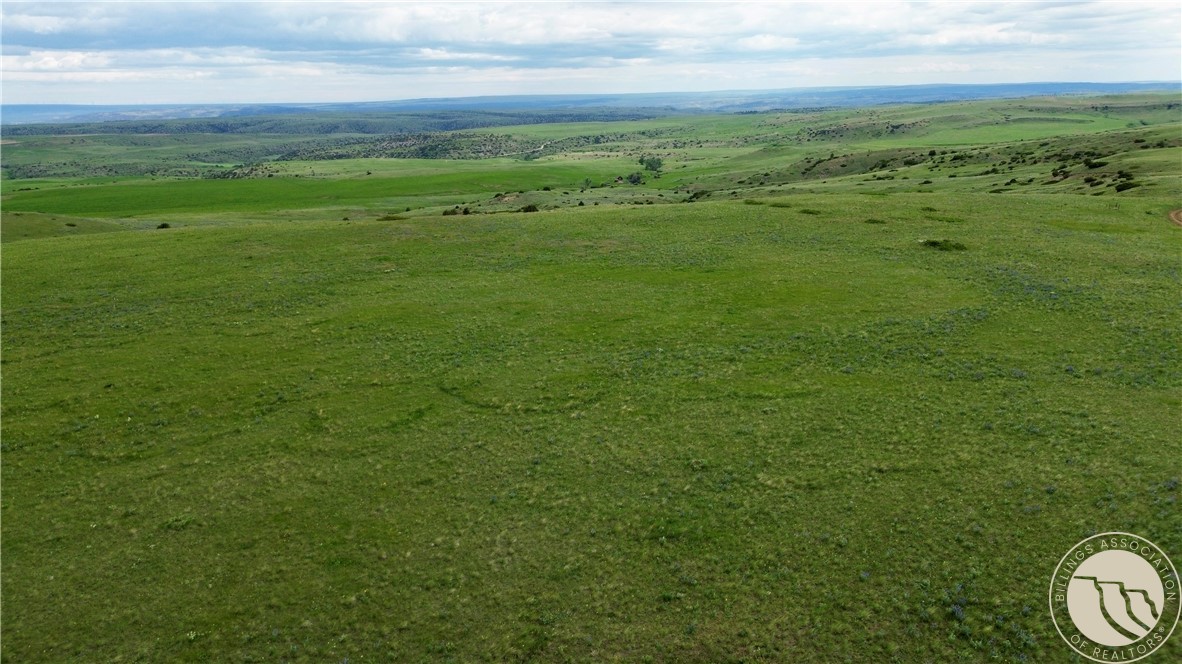 15.9 Ac Buck Creek Road