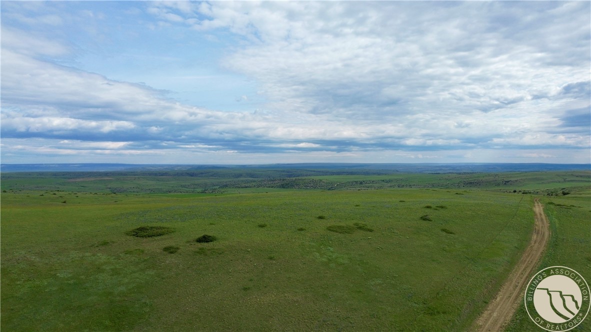 15.9 Ac Buck Creek Road