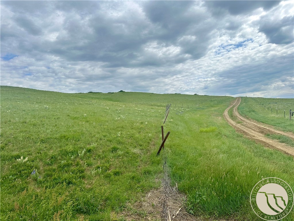 15.9 Ac Buck Creek Road