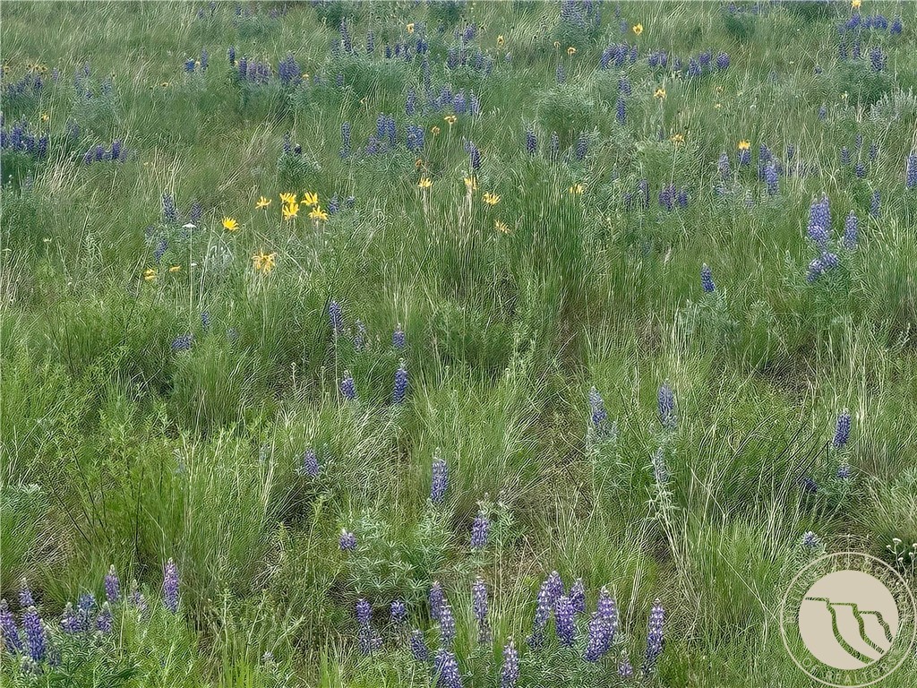 15.9 Ac Buck Creek Road