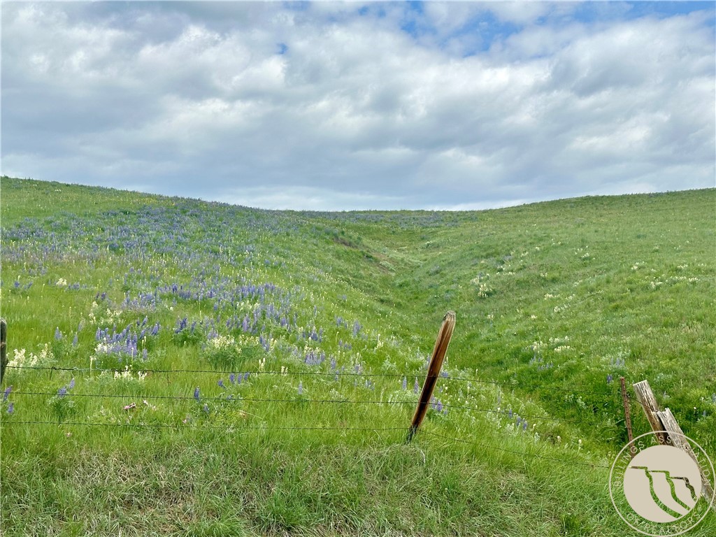 15.9 Ac Buck Creek Road
