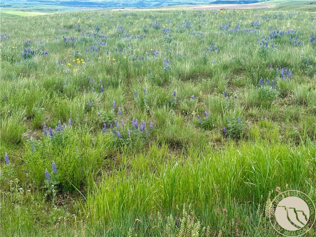 15.9 Ac Buck Creek Road