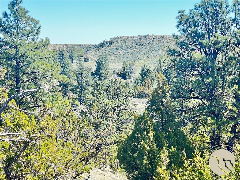 Lot 46 S Woodland Road