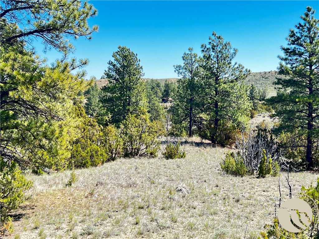 Lot 46 S Woodland Road
