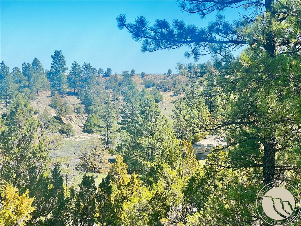 Lot 46 S Woodland Road