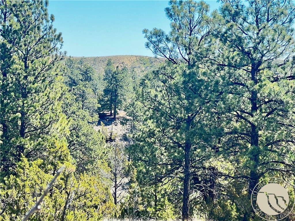Lot 46 S Woodland Road