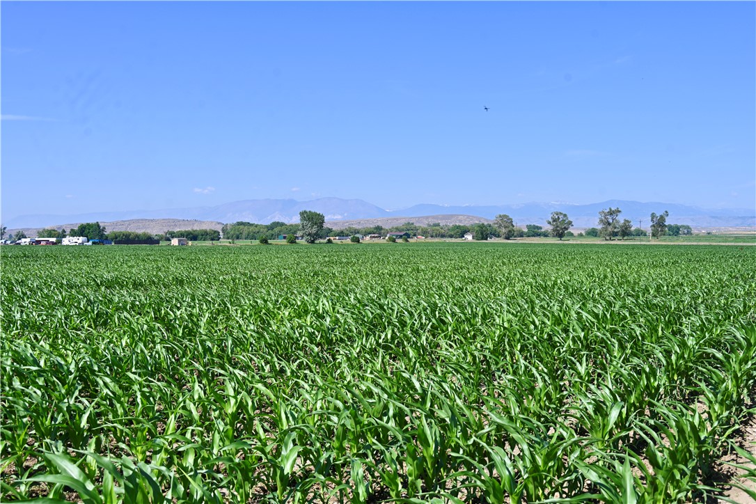94.76 Acres Highway 72