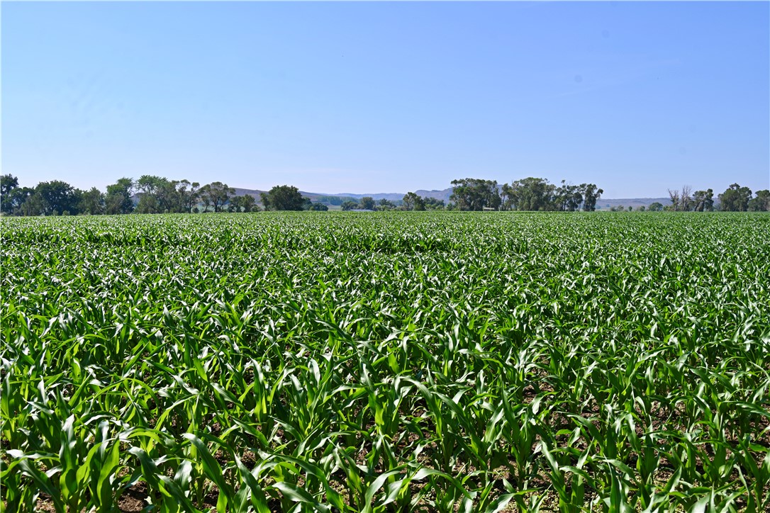 94.76 Acres Highway 72