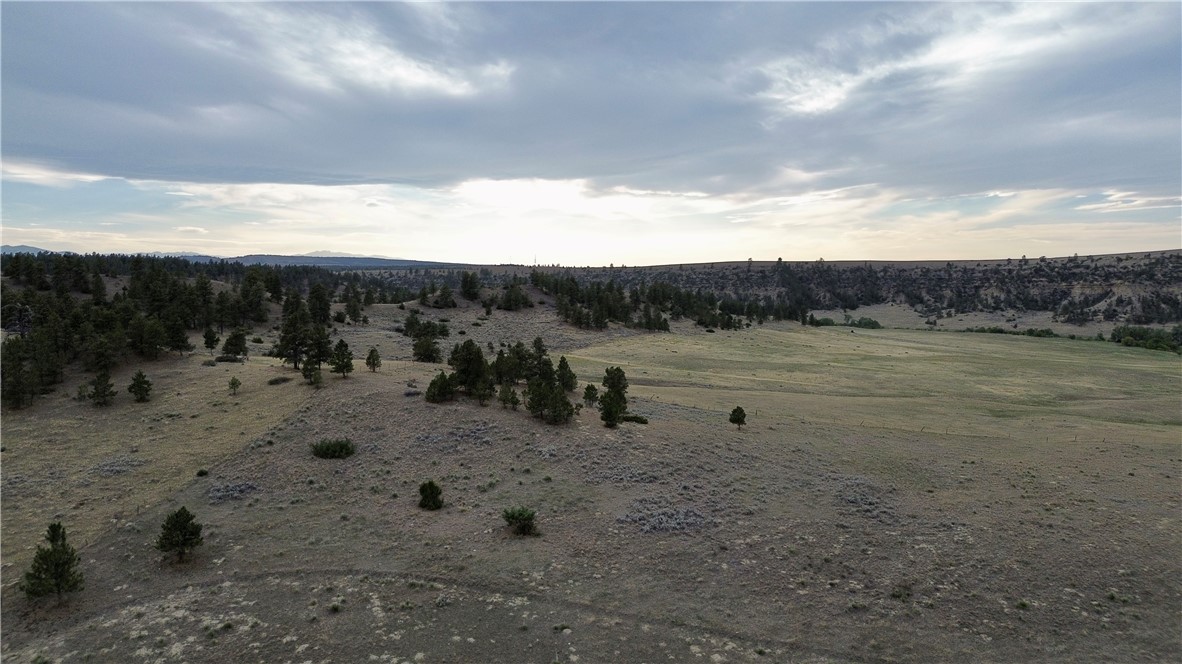 80 Acres Cole Creek Road