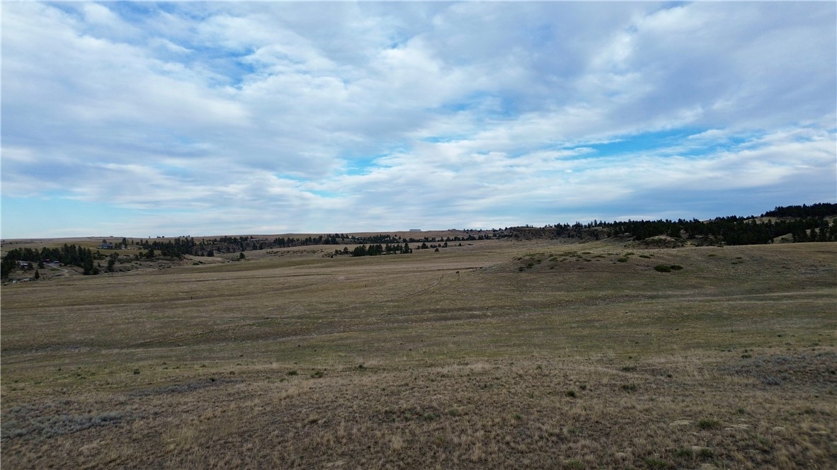 80 Acres Cole Creek Road