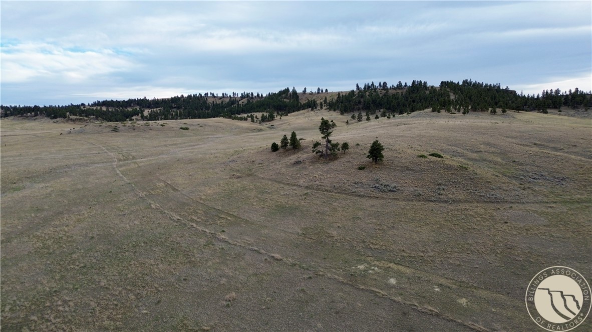 80 Acres Cole Creek Road