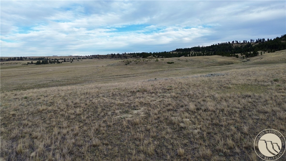80 Acres Cole Creek Road
