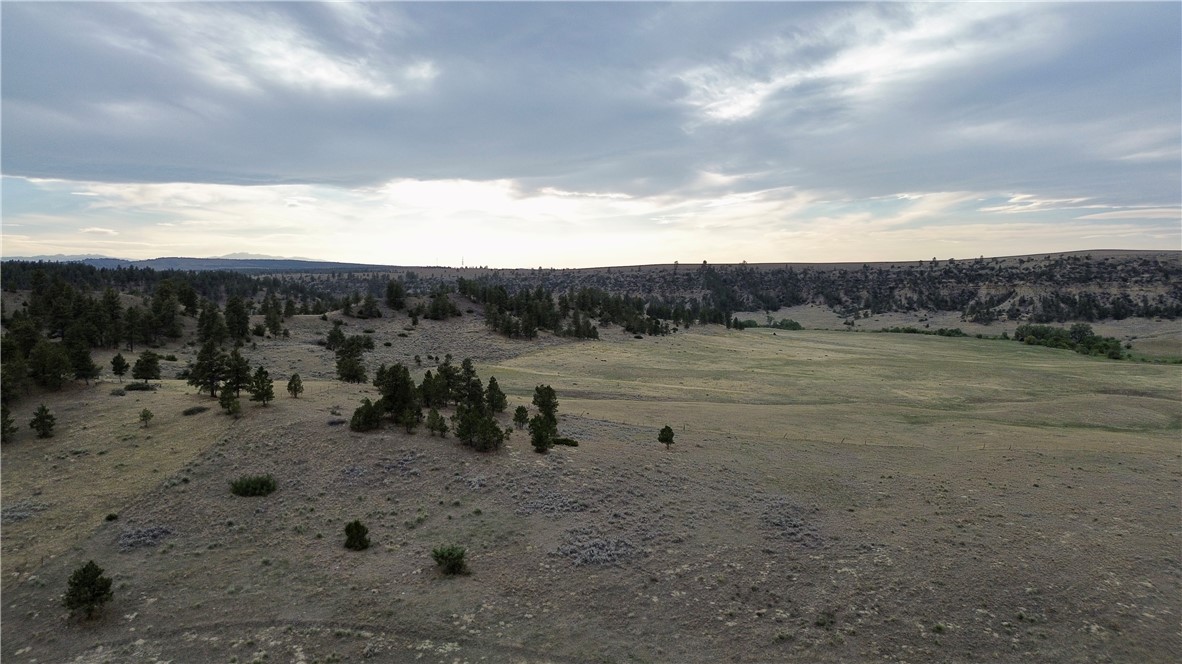 80 Acres Cole Creek Road