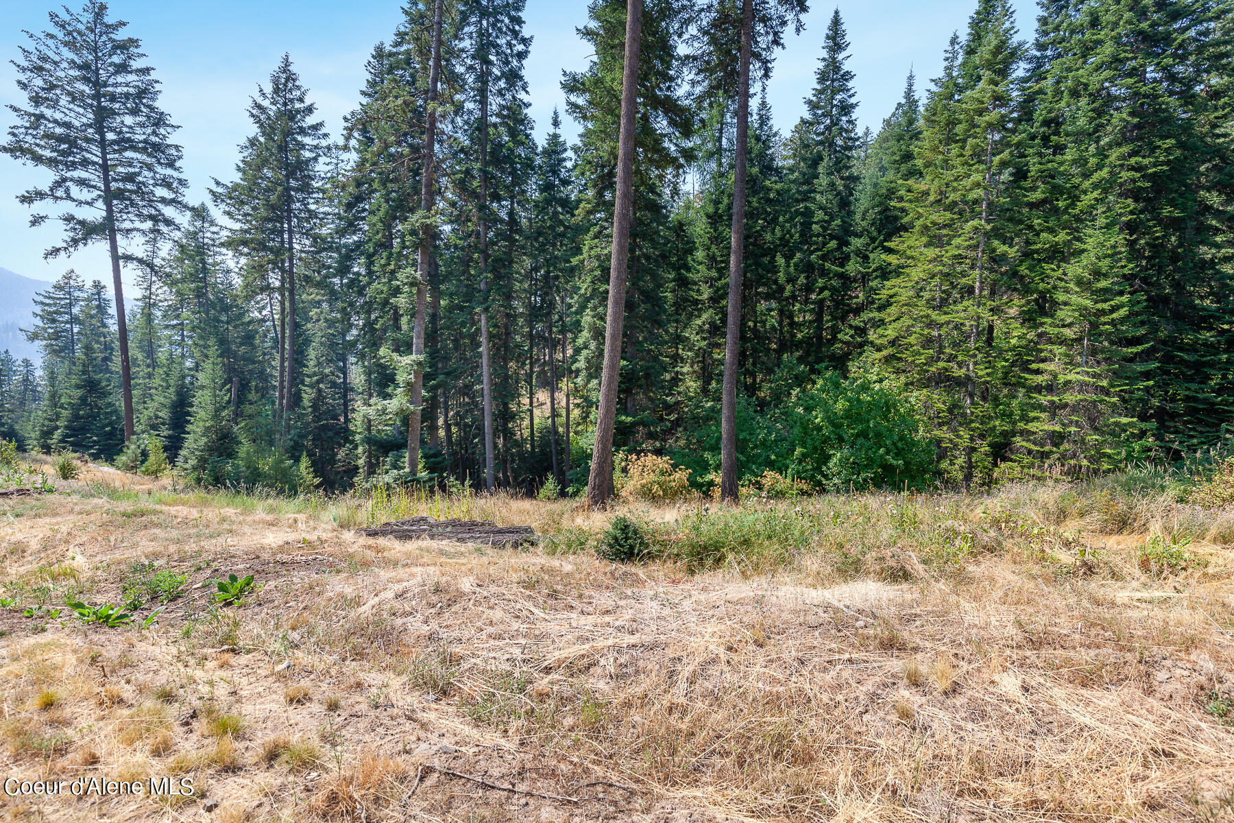 NNA Renaissance Way, Coeur d'Alene