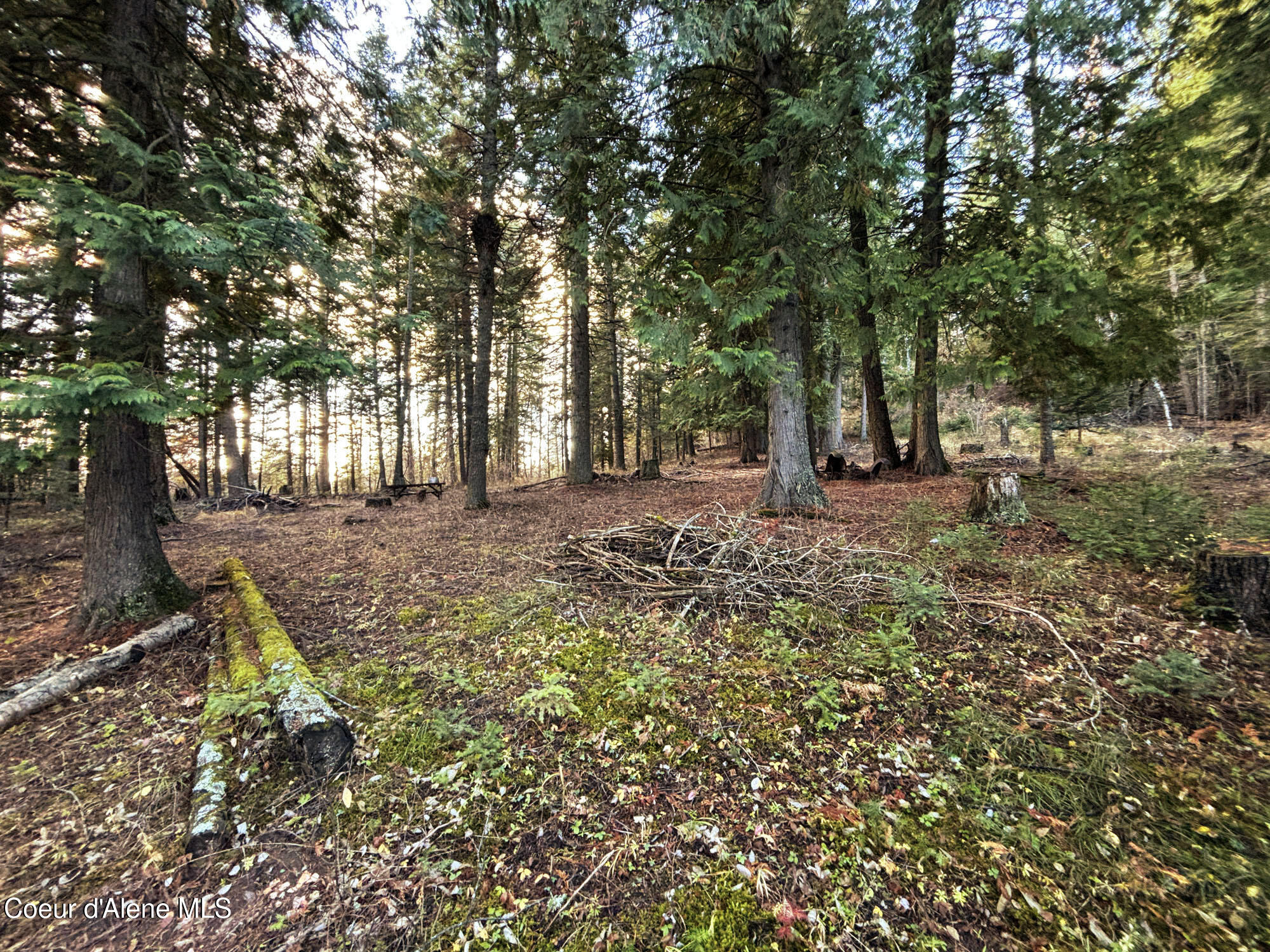 16701 N Right Fork Rd