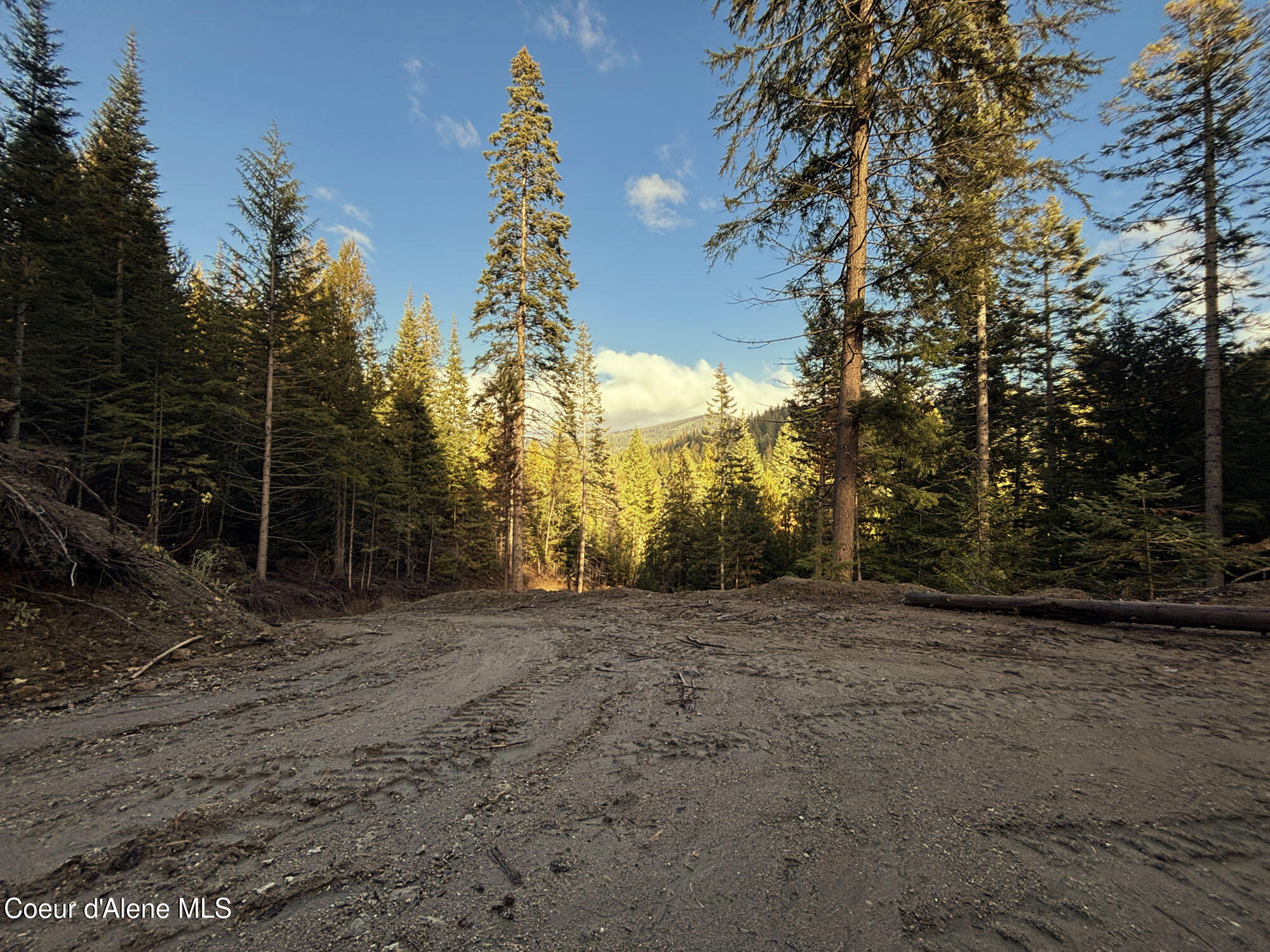 16701 N Right Fork Rd