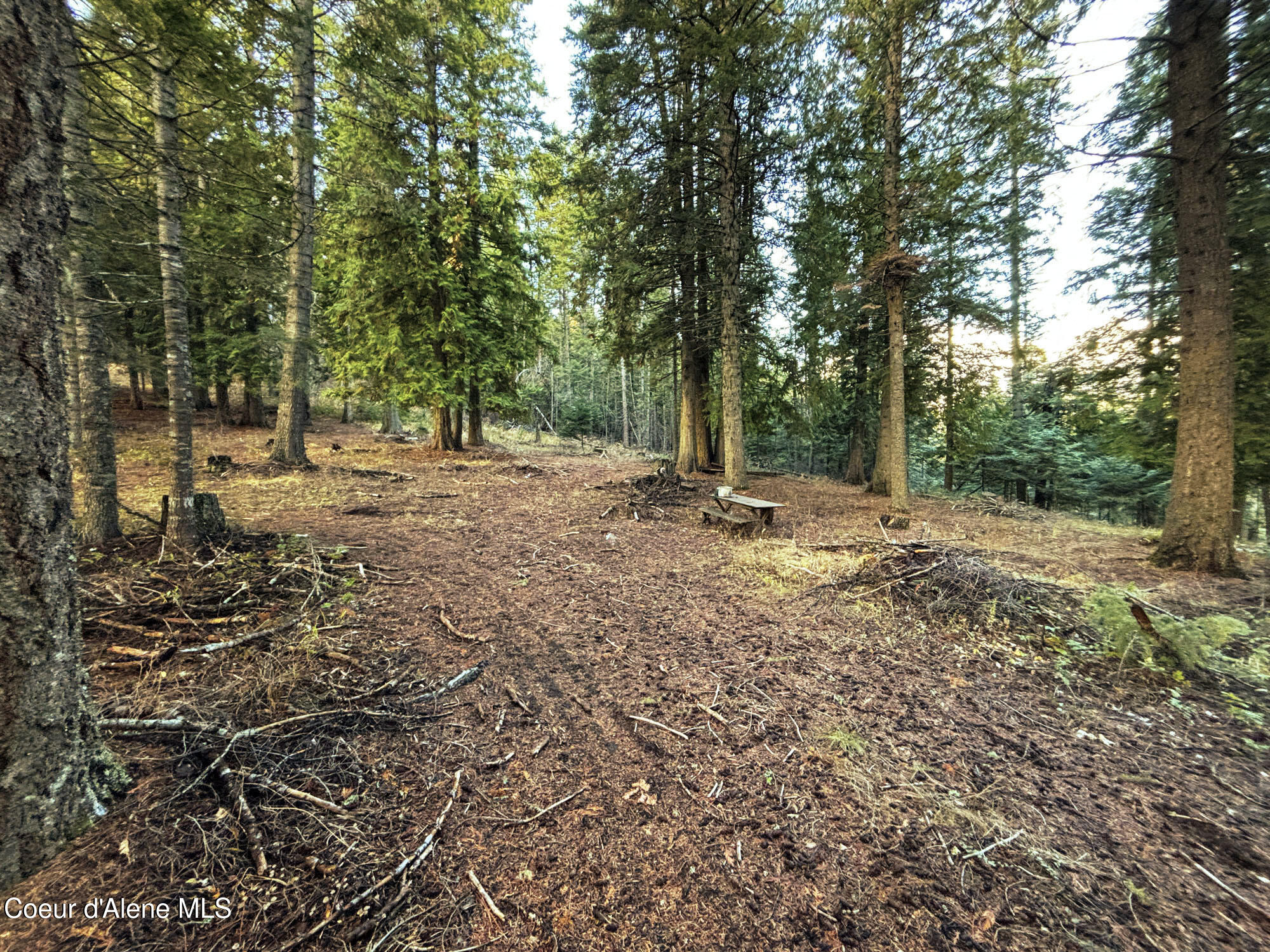 16701 N Right Fork Rd